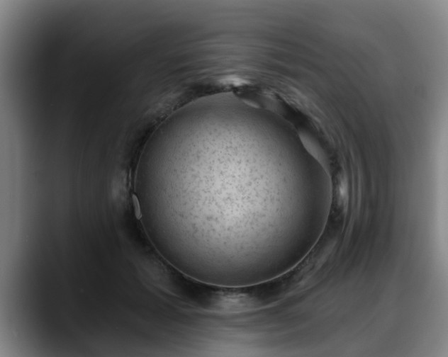 X0000088830605200706141522