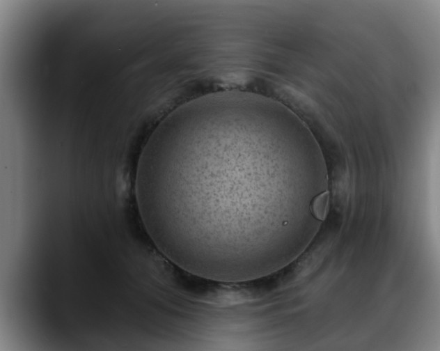 X0000088830608200706141522