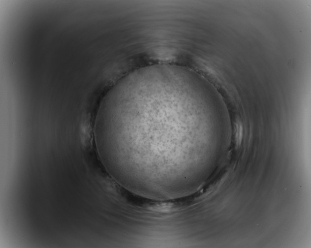 X0000088830609200706141522