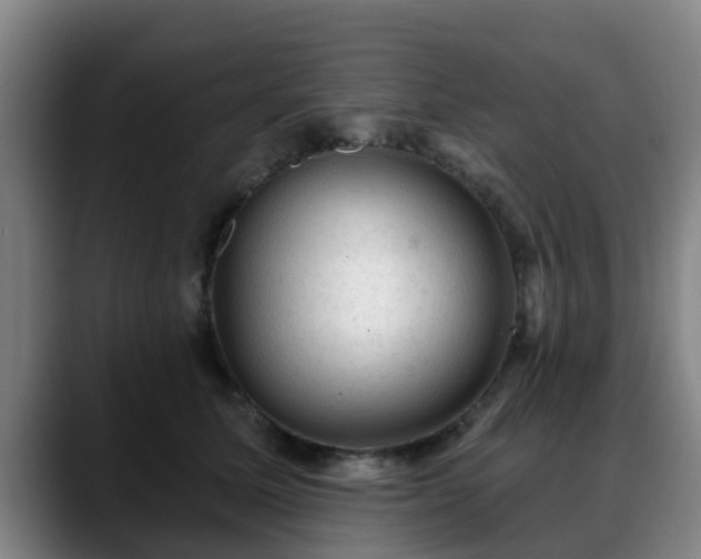 X0000088830611200706141522