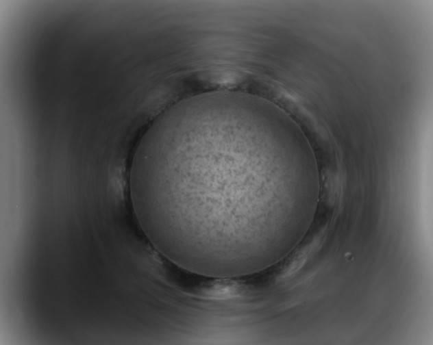 X0000088830612200706141522