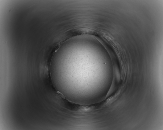 X0000088830613200706141522