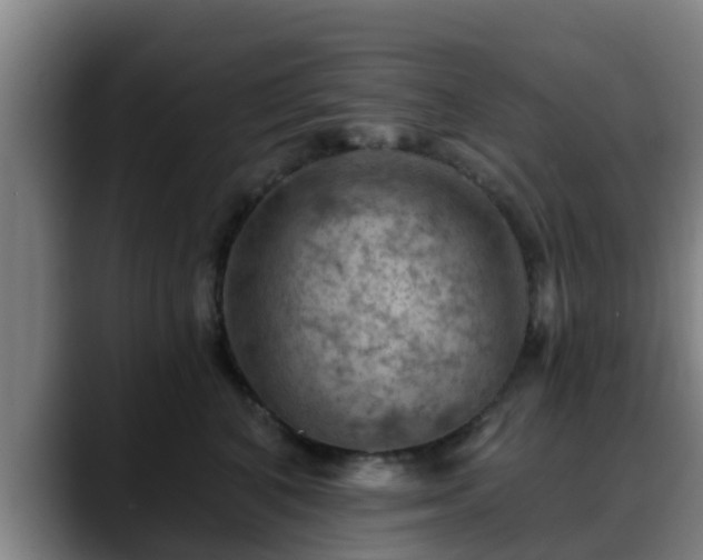 X0000088830616200706141521