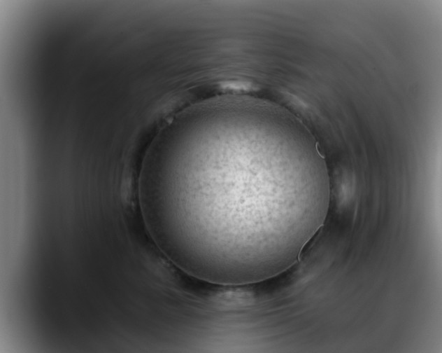 X0000088830619200706141521