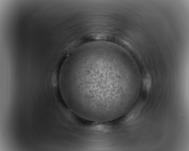 X0000088830620200706141521