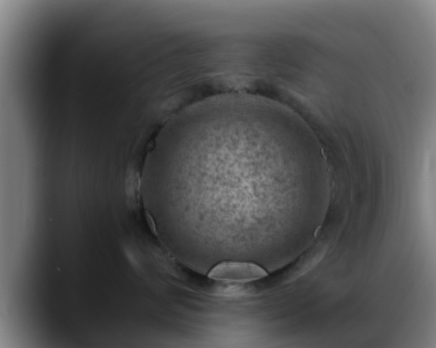 X0000088830624200706141521