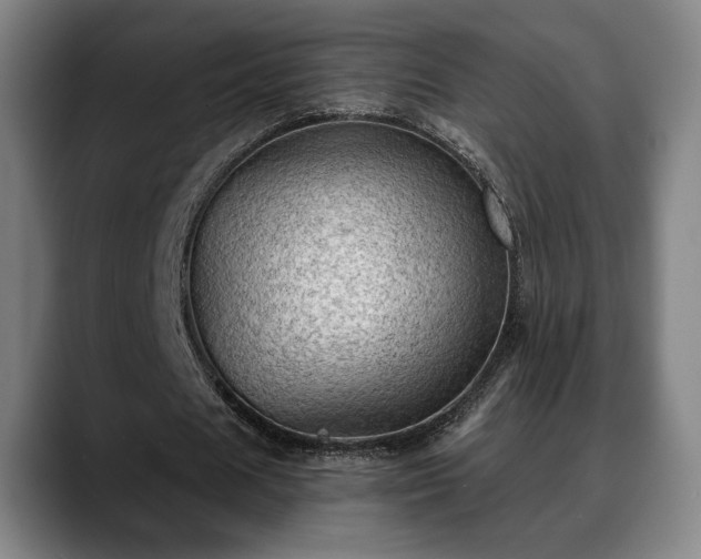X0000088830625200706141521