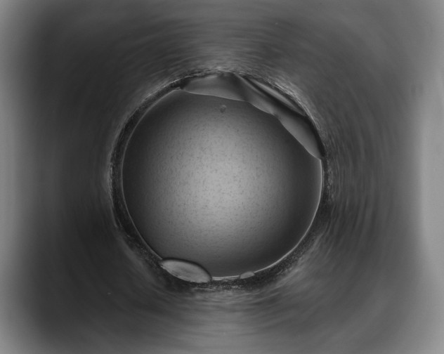 X0000088830626200706141521