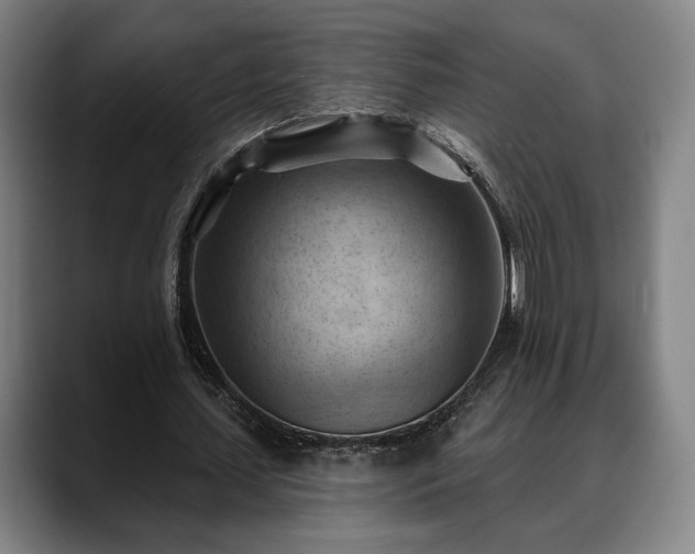 X0000088830627200706141521
