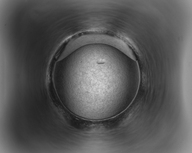 X0000088830628200706141521
