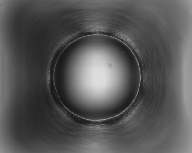 X0000088830629200706141521