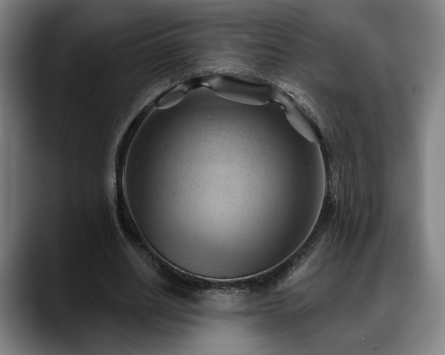 X0000088830630200706141521