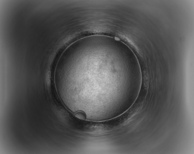 X0000088830631200706141521