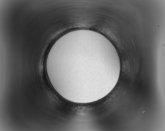 X0000088830632200706141521