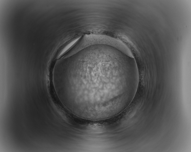 X0000088830634200706141521