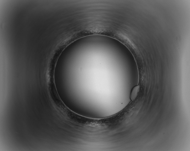 X0000088830635200706141521