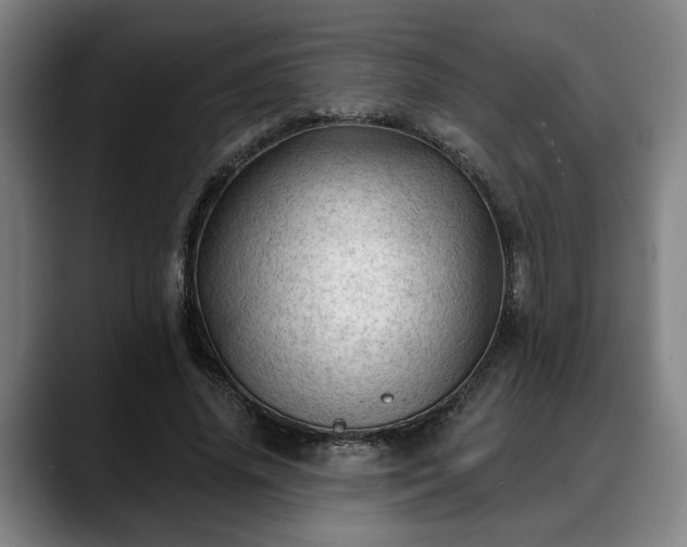 X0000088830636200706141521