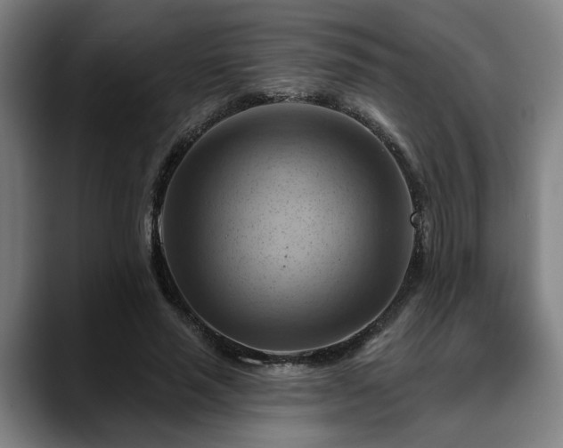 X0000088830637200706141521