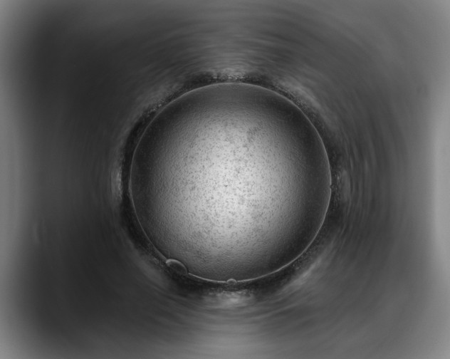 X0000088830638200706141521