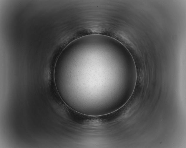 X0000088830639200706141521