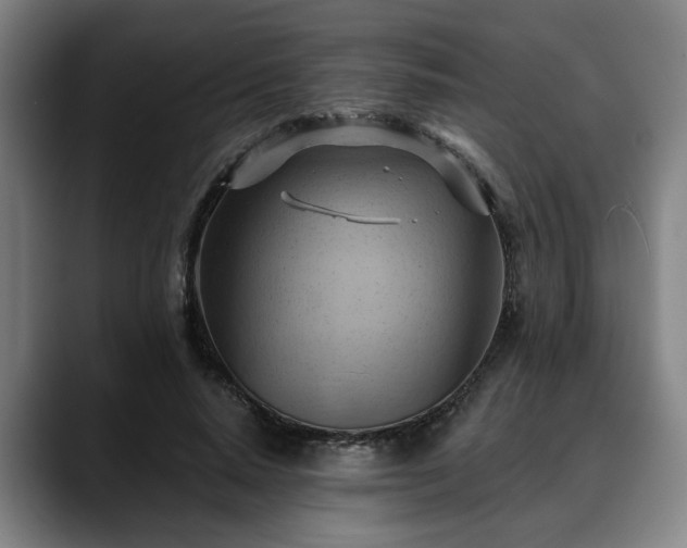 X0000088830640200706141521