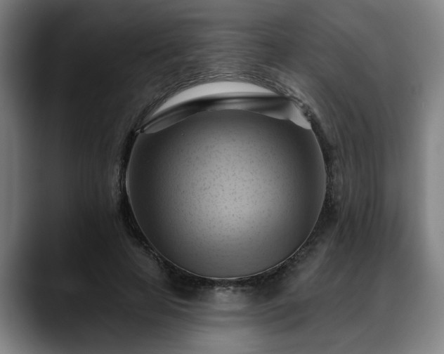 X0000088830641200706141521
