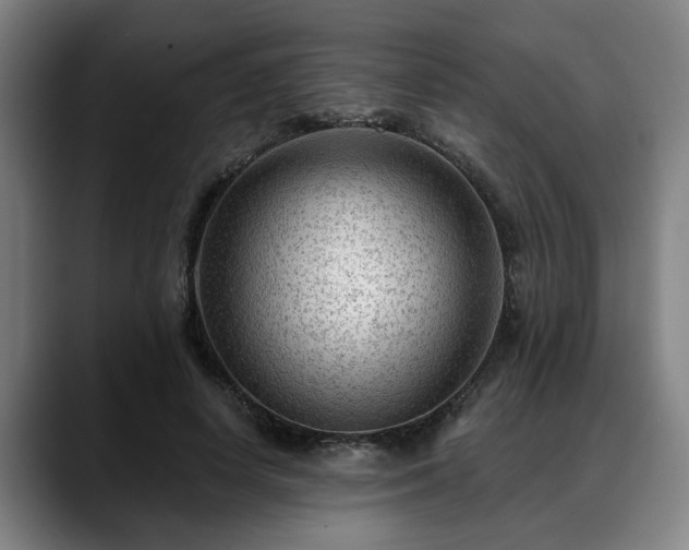 X0000088830642200706141521