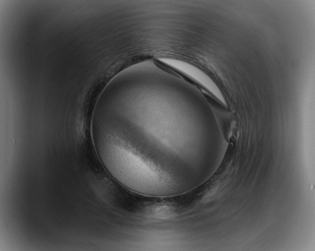 X0000088830643200706141521