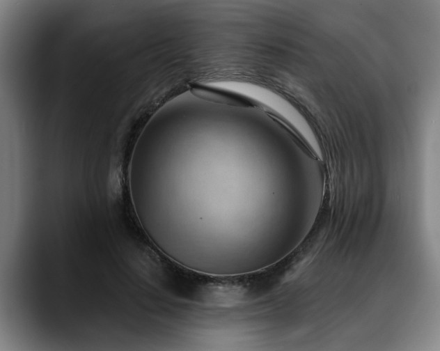 X0000088830644200706141521