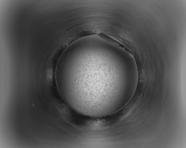 X0000088830646200706141521