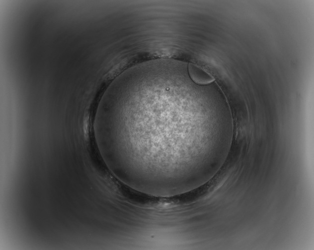 X0000088830647200706141521