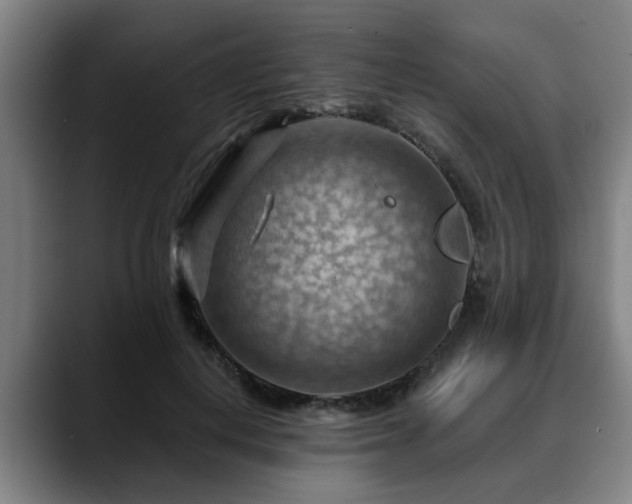 X0000088830648200706141521