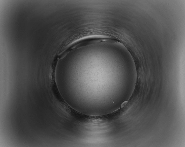 X0000088830650200706141521