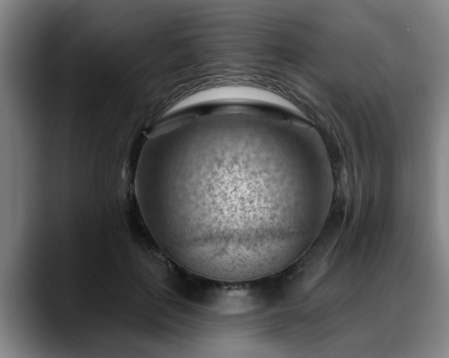 X0000088830651200706141521
