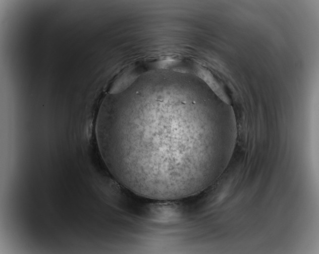 X0000088830652200706141521