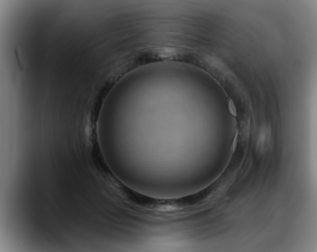 X0000088830653200706141521