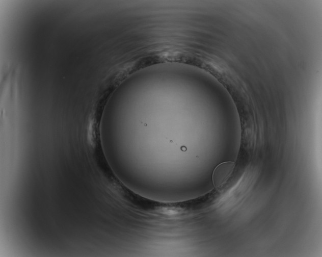 X0000088830654200706141521