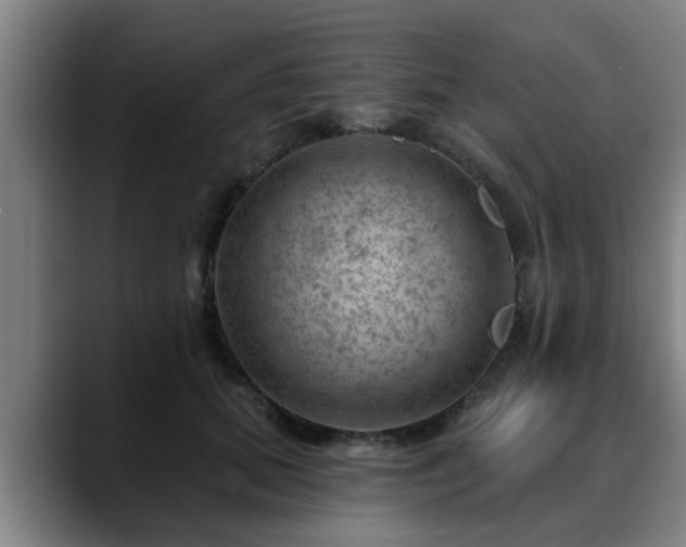 X0000088830655200706141521