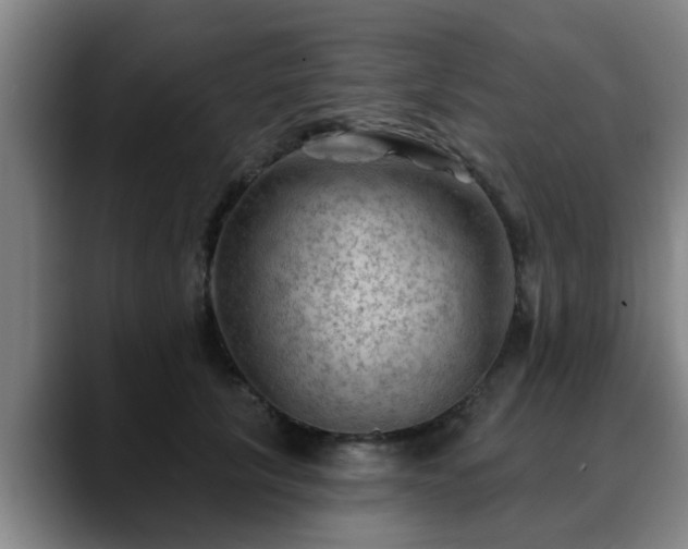 X0000088830657200706141521