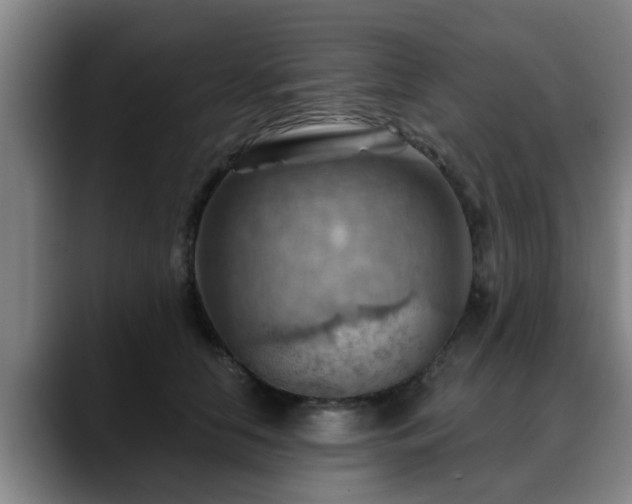 X0000088830658200706141521