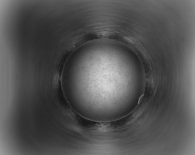 X0000088830660200706141521