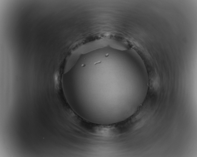 X0000088830661200706141521