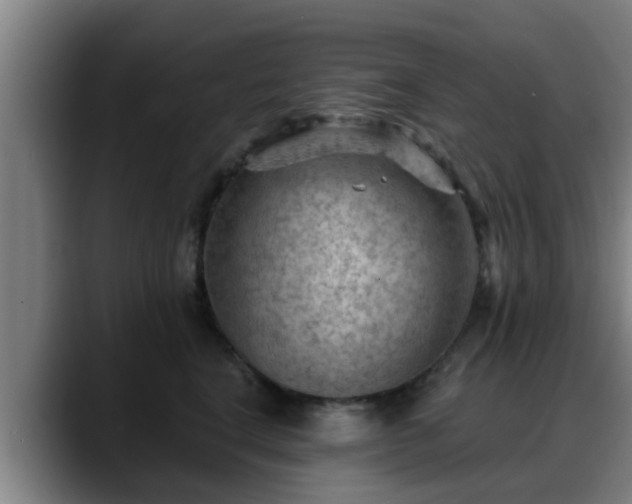 X0000088830664200706141521