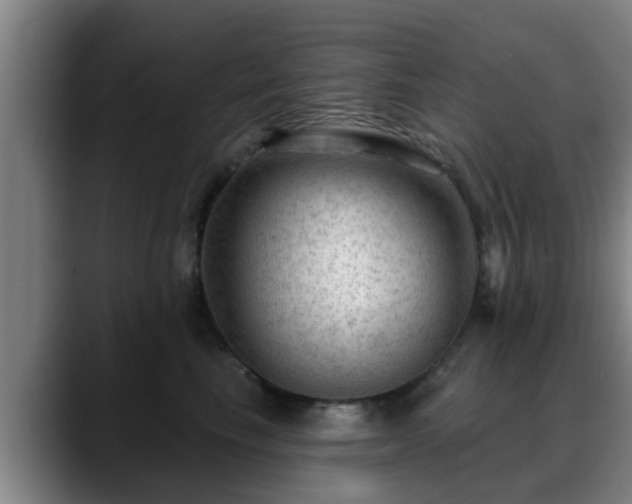 X0000088830665200706141521