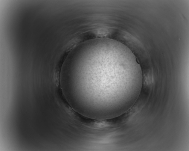 X0000088830666200706141521