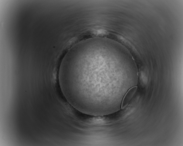 X0000088830668200706141521