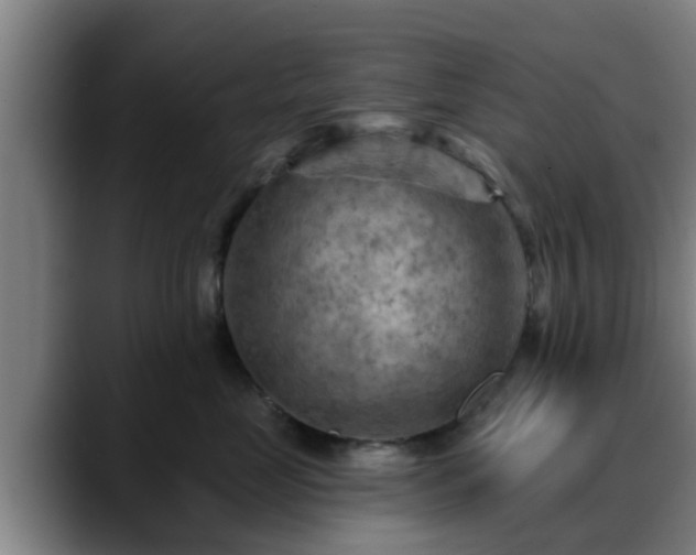X0000088830669200706141521