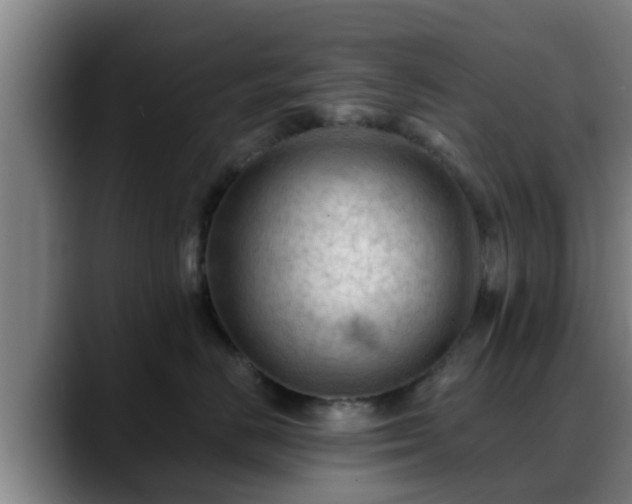 X0000088830670200706141521