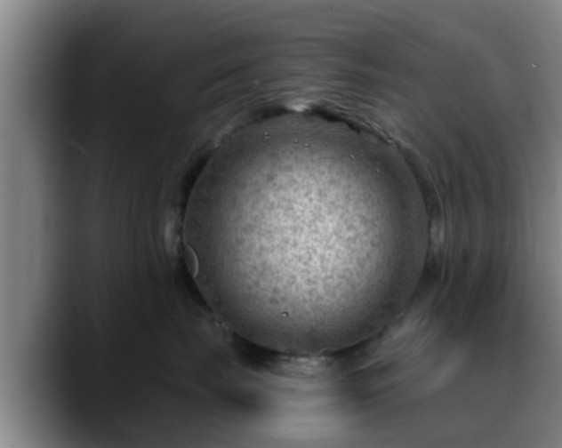 X0000088830671200706141521