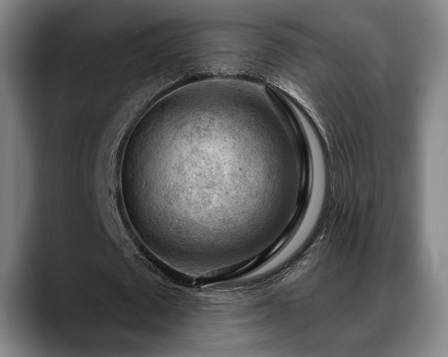 X0000088830673200706141521
